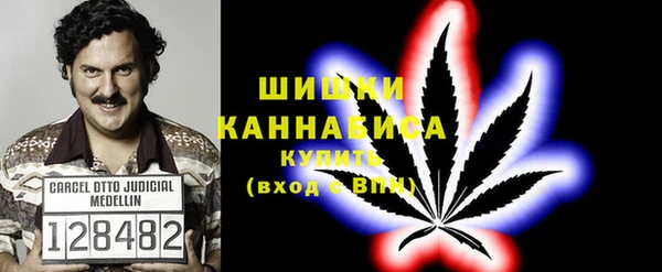 гашик Балахна