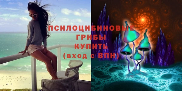 гашик Балахна